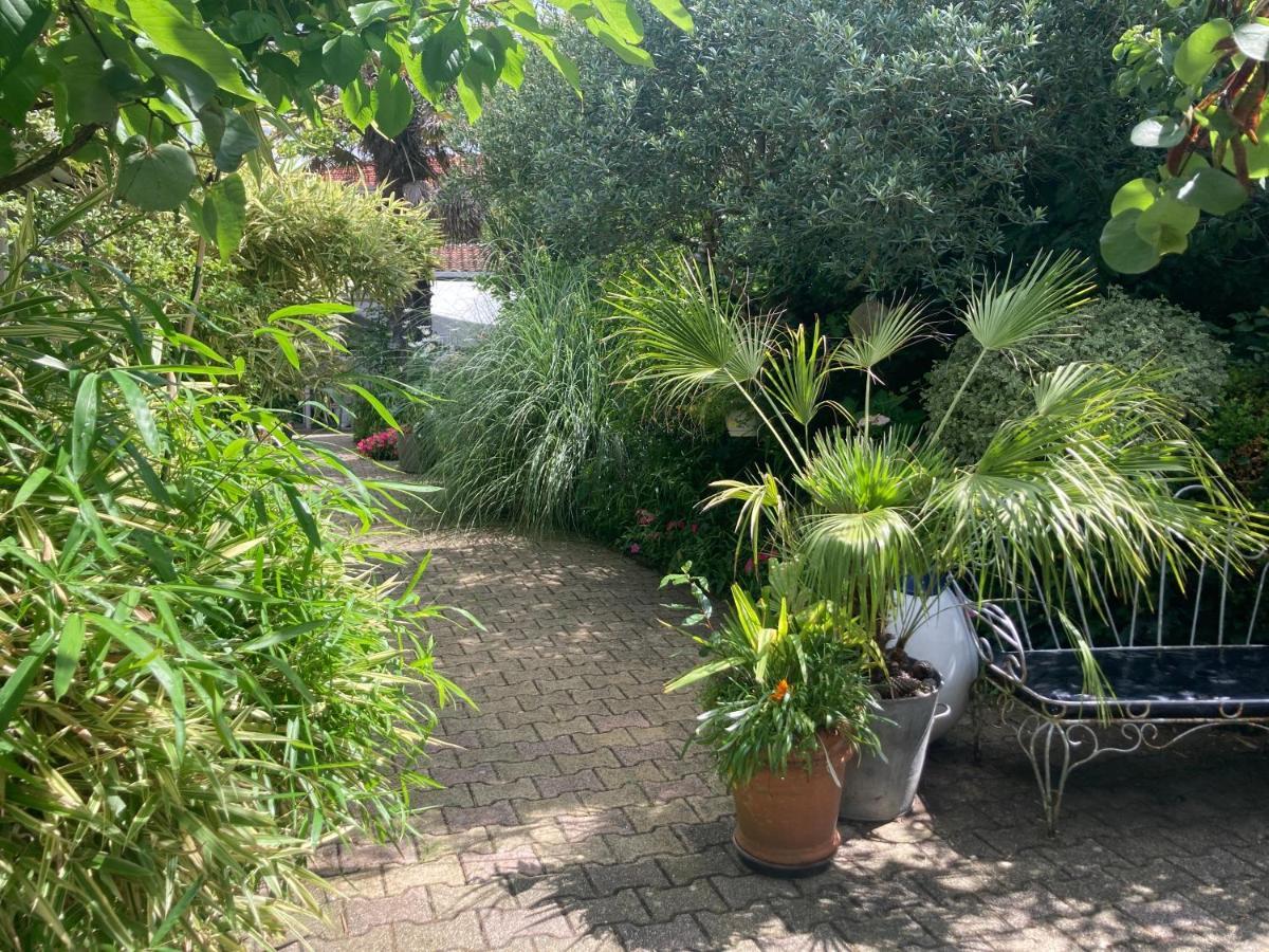 Maisonnette Studio Arcachon 300M Plage Экстерьер фото